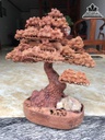 Bình Tùng Bonsai Gỗ Hương Cao 60 Ngang 52 Sâu 26 (cm) 1