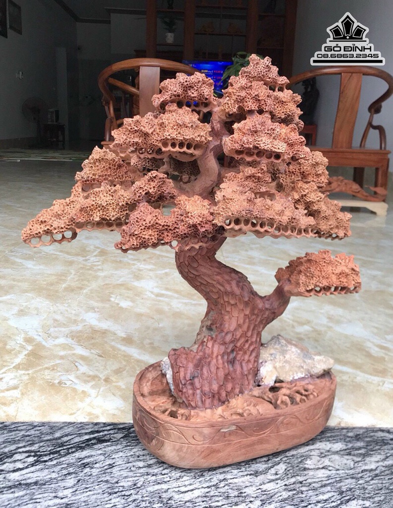 Bình Tùng Bonsai Gỗ Hương Cao 60 Ngang 52 Sâu 26 (cm) 2