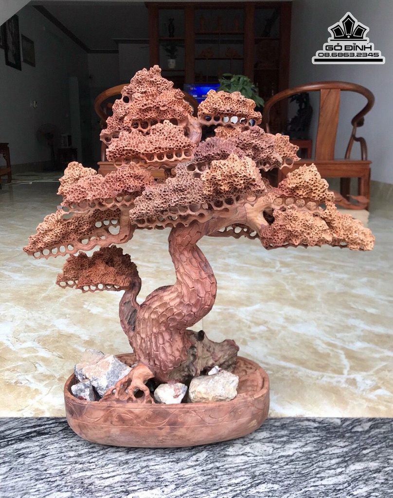 Bình Tùng Bonsai Gỗ Hương Cao 60 Ngang 52 Sâu 26 (cm) 3