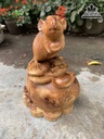 Tượng Chuột Gỗ Nu Hương Cao 30 Ngang 20 Sâu 14 (cm) 4