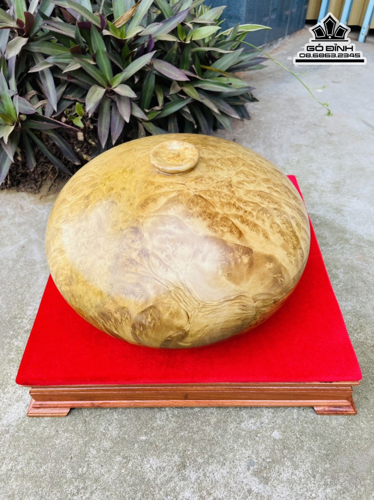 Bình Phú Quý Gỗ Nu Kháo Cao 19 Đường Kính 33 Cả Kỷ 26 (cm) 0