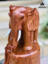 Tượng Voi Gõ Hương Cao 42 Ngang 27 Sâu 20 (cm) 2