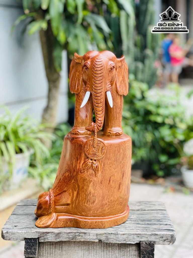 Tượng Voi Gõ Hương Cao 42 Ngang 27 Sâu 20 (cm) 3