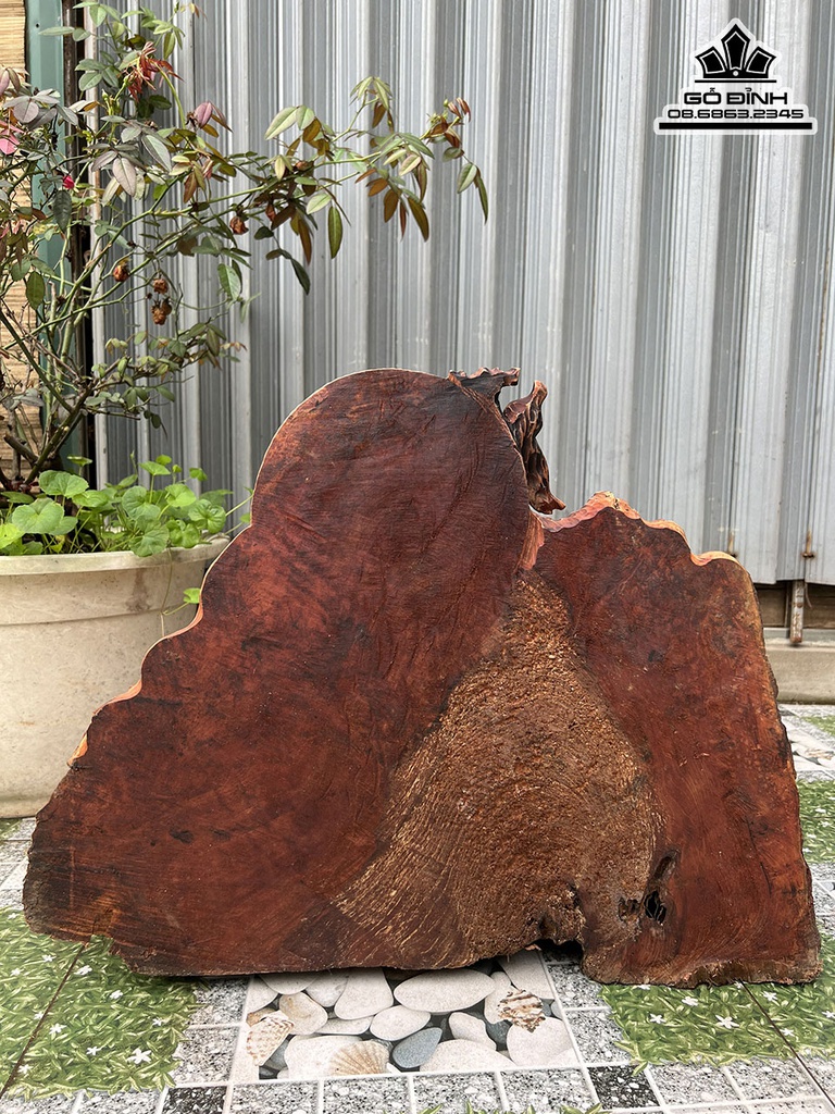 Tượng Đạt Ma Sư Tổ Gỗ Dâu Cao 58 Ngang 45 Sâu 43 (cm) 2