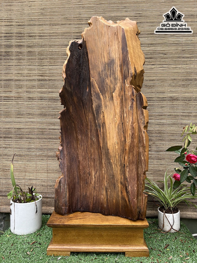 Tượng Nhất Tâm Bái Phật Gỗ Bách Xanh Cao 66 Ngang 30 Sâu 16 (cm)3