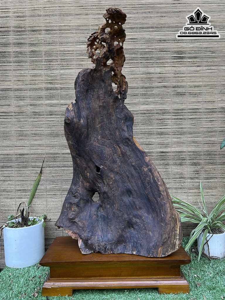 Tượng Đạt Ma Gỗ Bách Xanh Cao 54 Ngang 33 Sâu 15 (cm) 2