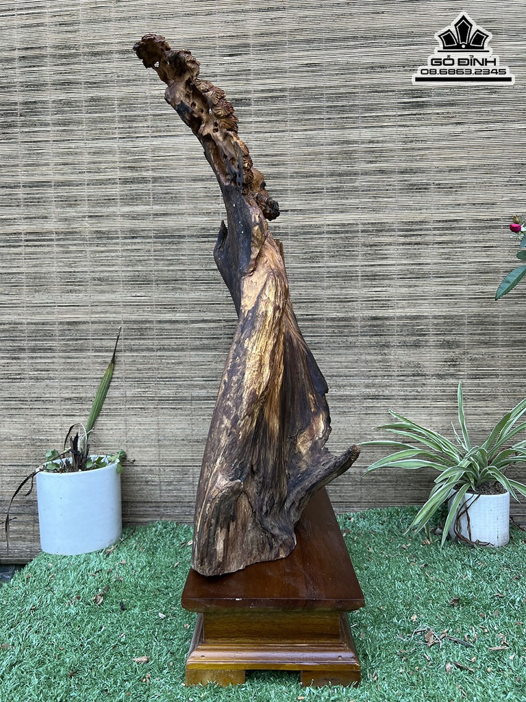 Tượng Đạt Ma Gỗ Bách Xanh Cao 54 Ngang 33 Sâu 15 (cm)3