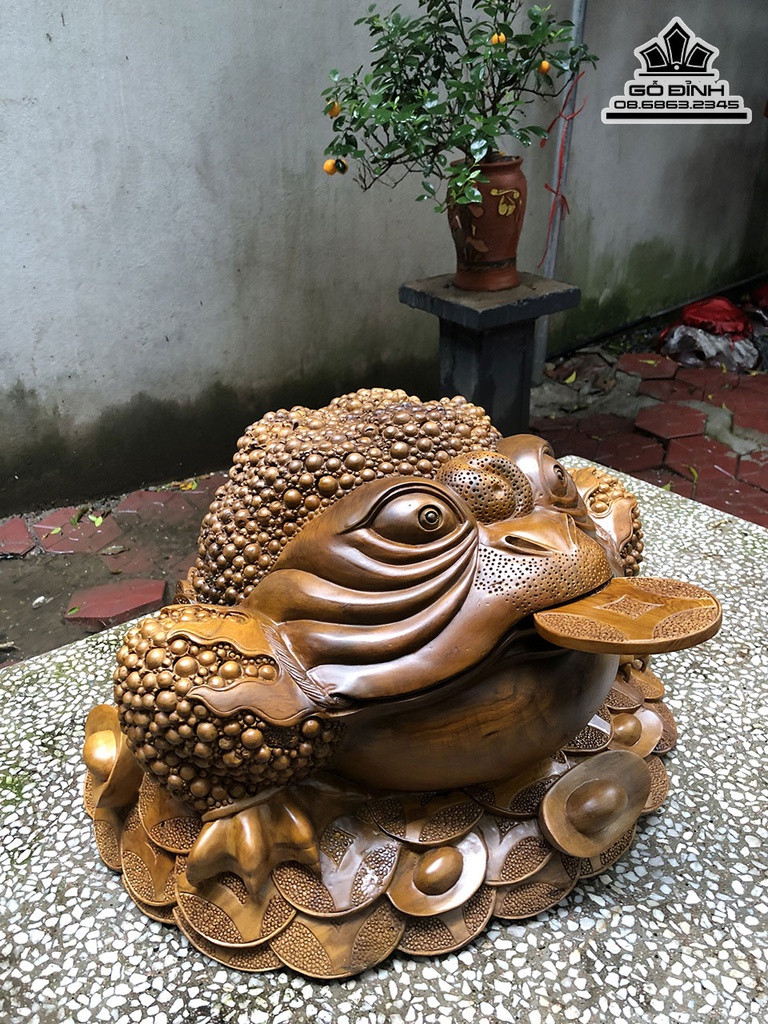 Tượng Cóc Gỗ Bách Xanh Cao 32 Ngang 52 Sâu 52 (cm) 2