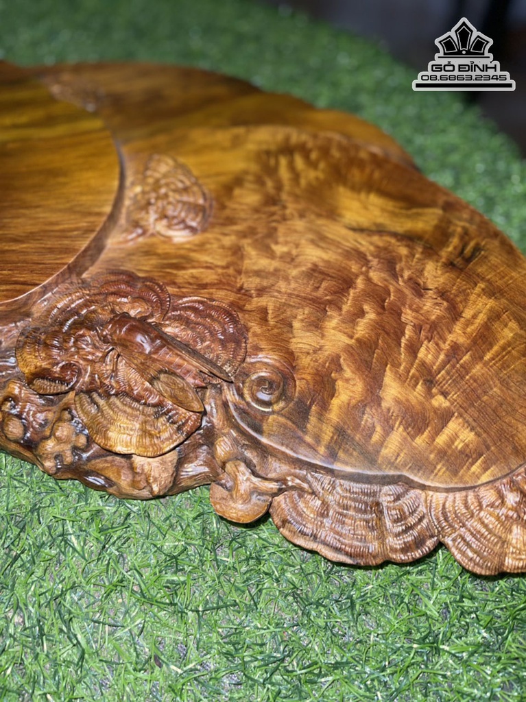 Khay Trà Nấm Gỗ Bách Xanh Ngang 63 Rộng 30 Dày 5 (cm) 0