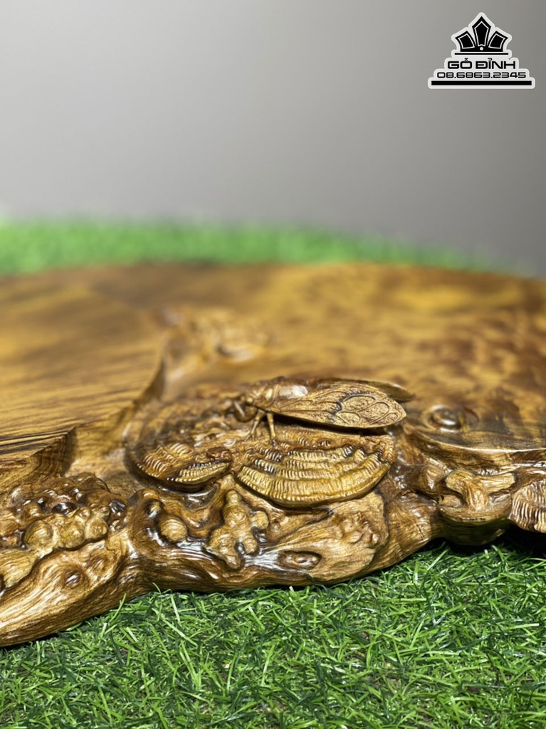 Khay Trà Nấm Gỗ Bách Xanh Ngang 63 Rộng 30 Dày 5 (cm) 2