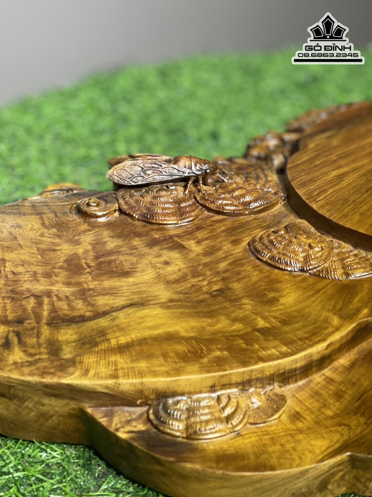 Khay Trà Nấm Gỗ Bách Xanh Ngang 63 Rộng 30 Dày 5 (cm) 3