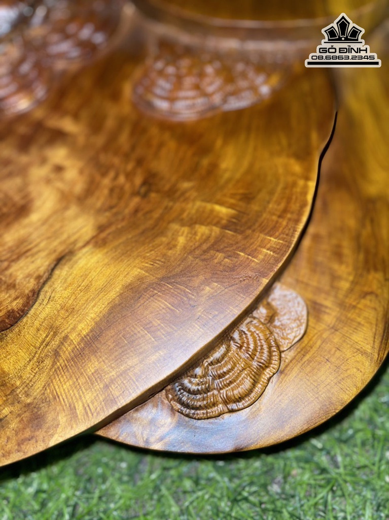 Khay Trà Nấm Gỗ Bách Xanh Ngang 63 Rộng 30 Dày 5 (cm) 4