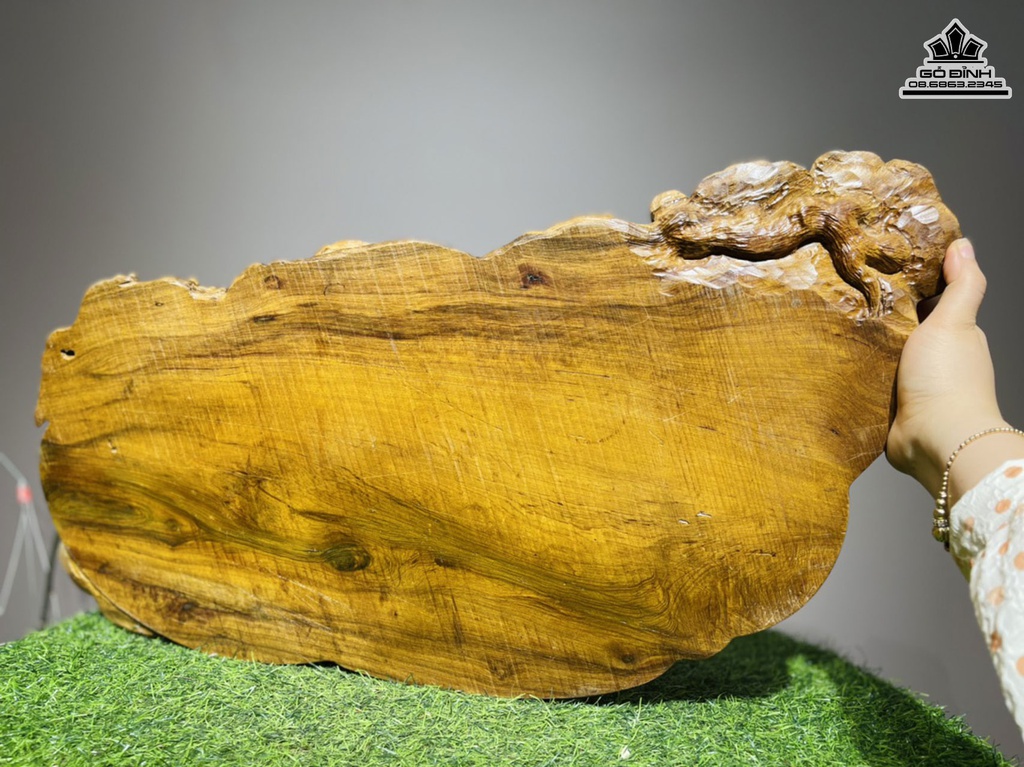 Khay Trà Nấm Gỗ Bách Xanh Ngang 63 Rộng 30 Dày 5 (cm)6