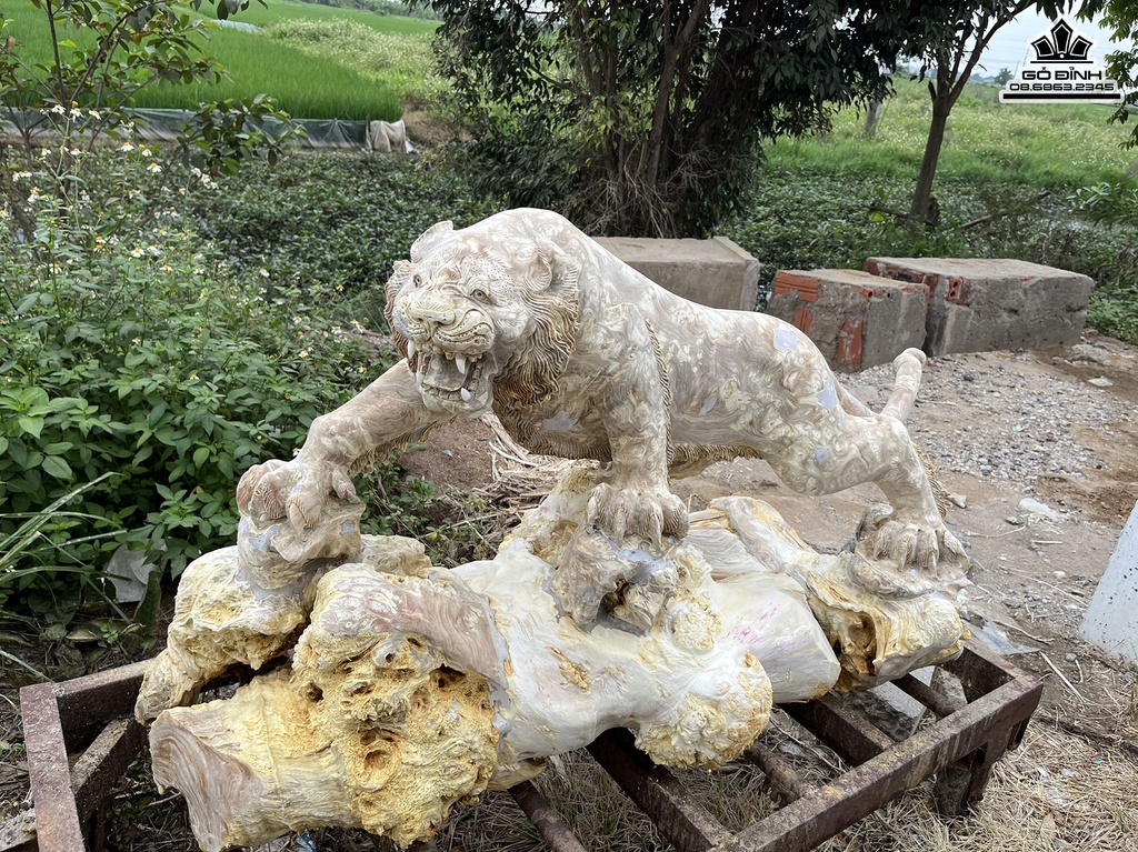 Tượng Hổ Gỗ Nu Nghiến Cao 78 Ngang 130 Sâu 50 (cm) 0