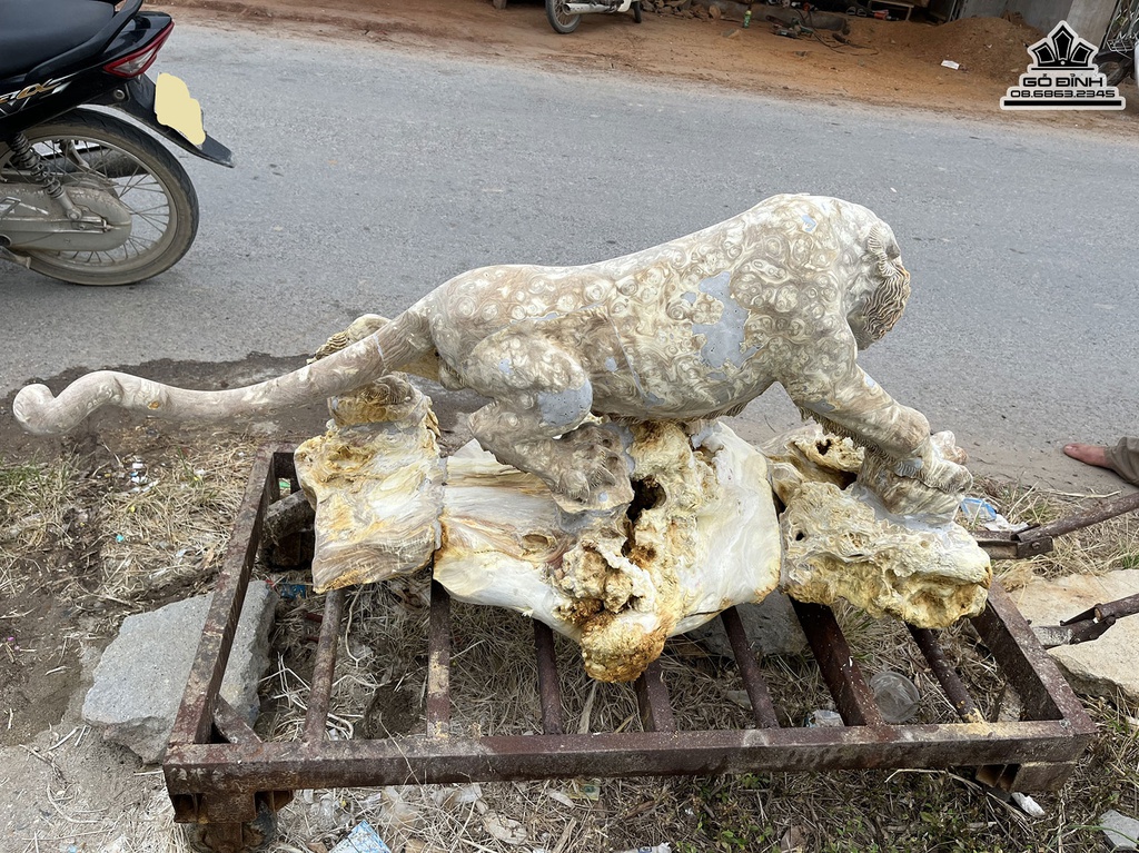 Tượng Hổ Gỗ Nu Nghiến Cao 78 Ngang 130 Sâu 50 (cm)2