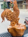 Tượng Gà Trống  (Nhất Kê) Gỗ Hương Liền Khối Cao 83 Ngang 52 Sâu 55 (cm)5