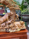 Tượng Gia Đình Trâu Đứng Gốc Tùng Gỗ Hương Việt Cao 90 Ngang 97 Sâu 42 Cao Cả Kỷ 140 (cm) 4