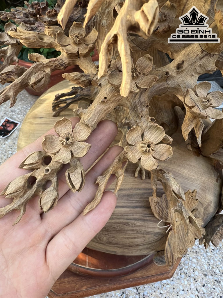 Bình Mai Điểu Gỗ Bách Xanh Cao 83 Đường Kính Bình 36 (cm) 2