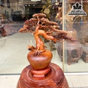 Bình Bonsai Gỗ Hương Việt Cao 45 Ngang 49 Sâu 22 (cm) 1