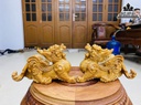 Cặp Tỳ Hươu Hút Tài Lộc Gỗ Huyết Long Cao 20 Ngang 12 Sâu 8 (cm) 1