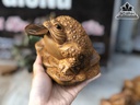 Tượng Cóc Ngậm Tiền Gỗ Bách Xanh Cao 15 Ngang 11 Sâu 9 (cm) 0