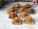 Tượng Cóc Ngậm Tiền Gỗ Bách Xanh Cao 15 Ngang 11 Sâu 9 (cm) 2