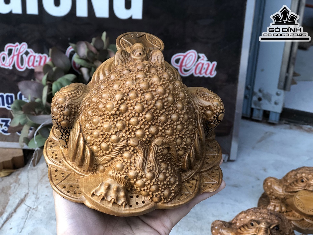 Tượng Cóc Ngậm Tiền Gỗ Bách Xanh Cao 15 Ngang 11 Sâu 9 (cm) 4