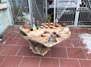 Bàn Trà Gỗ Lũa Xá Xị Nguyên Khối Cao 72 Ngang 105 Sâu 75 (cm) 0