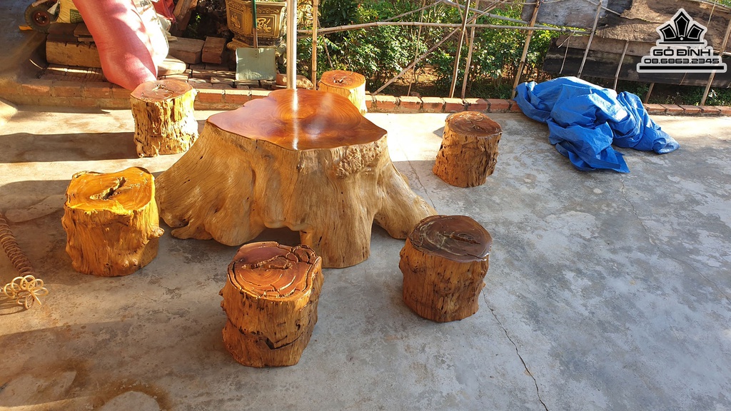 Bộ Bàn Ghế 6 Đôn Gỗ Dổi Để 180-150 Mặt 83-95 Cao 60 (cm) 3