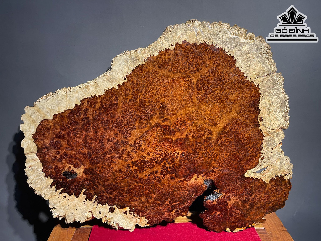 Khay Trà Gỗ Nu Hương Cao 1.7 Dài 65 Rộng 50 (cm)