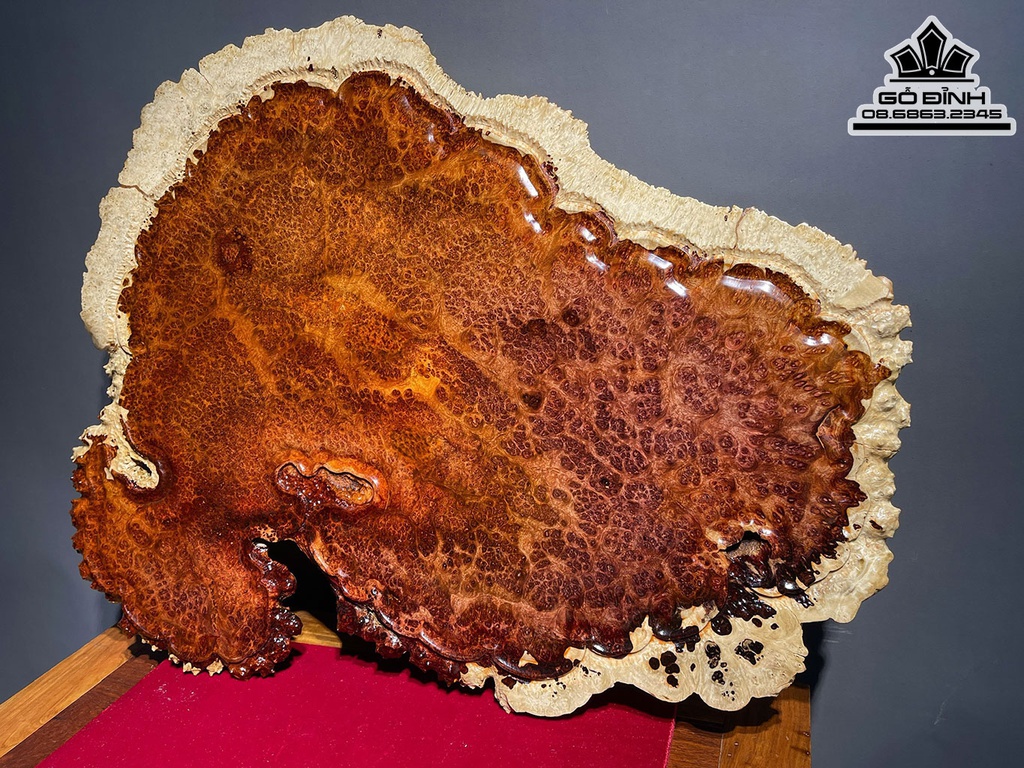 Khay Trà Gỗ Nu Hương Cao 1.7 Dài 65 Rộng 50 (cm)