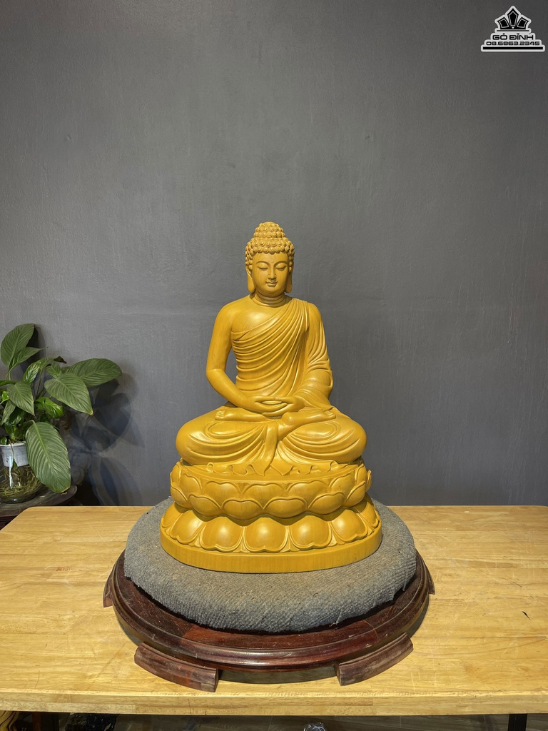 Tượng Phật Thích Ca Gỗ Gõ Vàng Cao 51 Ngang 36 Sâu 28 (cm)