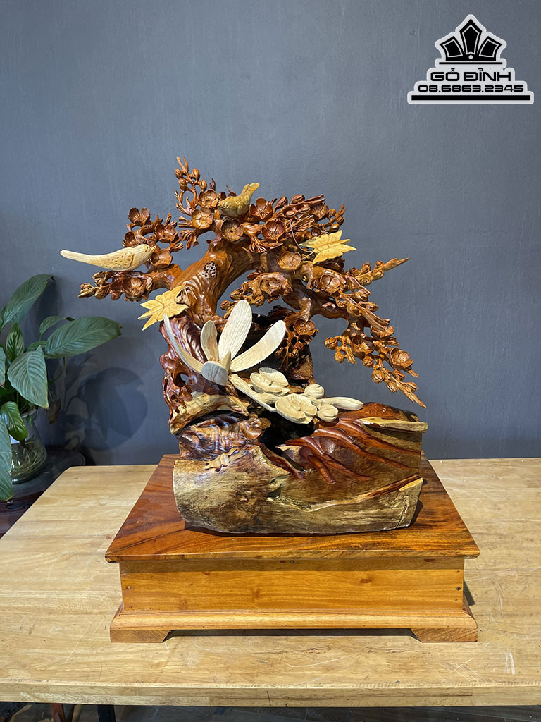 Cây Hoa Mai Gỗ Hương Cao 48 Ngang 50 Sâu 30 Cả Kỷ 63 (cm)