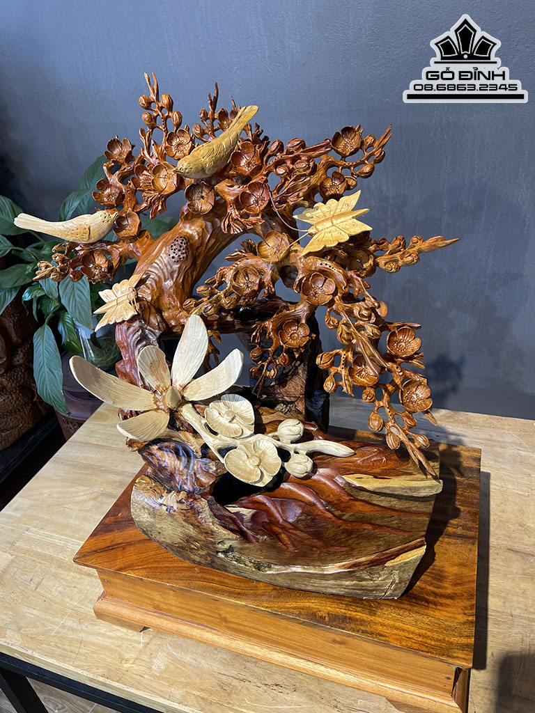 Cây Hoa Mai Gỗ Hương Cao 48 Ngang 50 Sâu 30 Cả Kỷ 63 (cm)