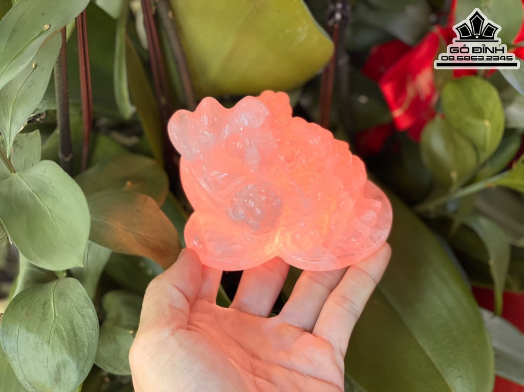 Tượng Cóc Thiềm Thừ Đá Thạch Anh Hồng Cao 10 Ngang 7 (cm)