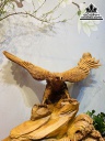 Tượng Đại Bàng Tung Cánh Gỗ Ngọc Am Cao 75 Ngang 75 Sâu 38 (cm)