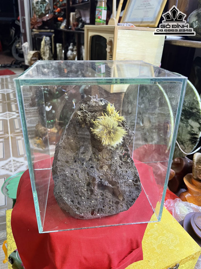 Bông Hoa Ưu Đàm Đá Aragonit Cao 21 Ngang 15 (cm) 5,5kg