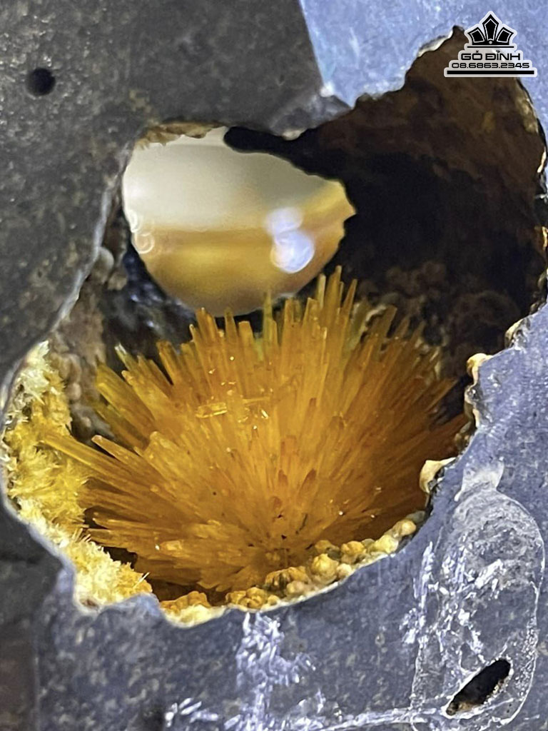 Bông Hoa Ưu Đàm Đá Aragonit Cao 28 (cm) 3,7kg