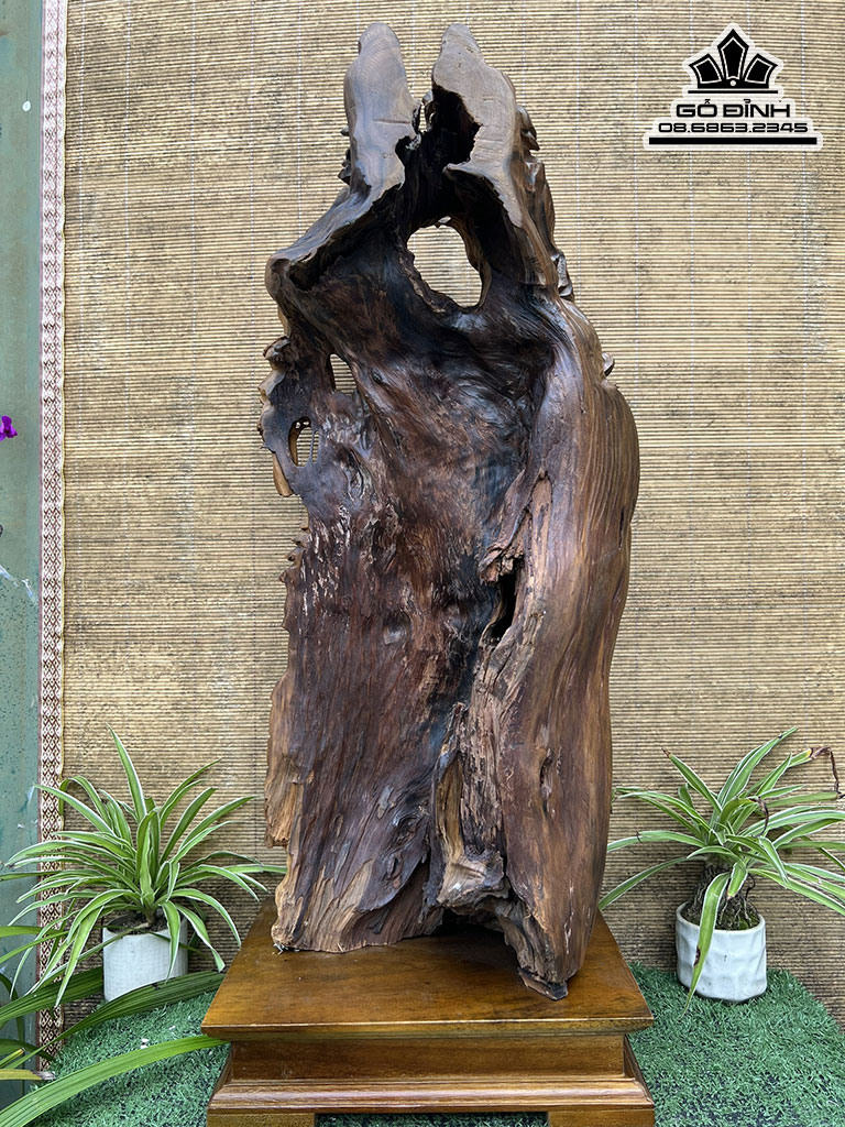 Tượng Nhất Tâm Bái Phật Gỗ Bách Xanh Cao 75 Ngang 33 Sâu 21 (cm)