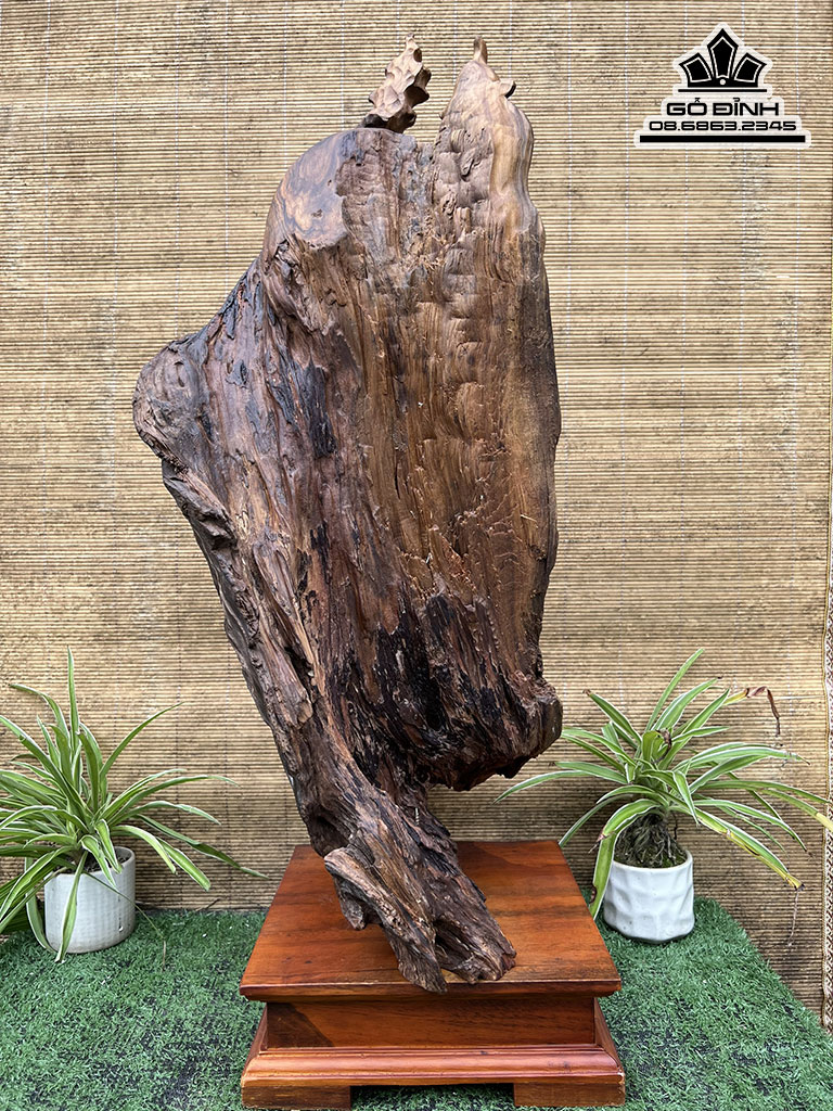 Tượng Ông Thọ Gỗ Bách Xanh Cao 69 Ngang 29 Sâu 31 (cm)