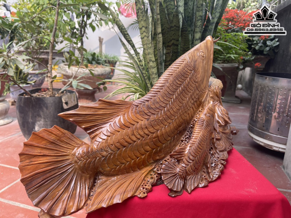 Tượng Cá Kim Long Phụ Tử Gỗ Ngọc Am Liền Khối Cao 33 Ngang 70 Sâu 21 (cm)