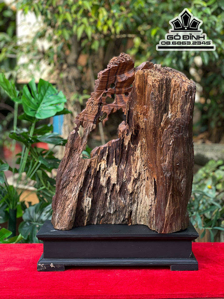 Tượng Thần Trà Gỗ Bách Xanh Cao 46 Ngang 38 Sâu 20 (cm)