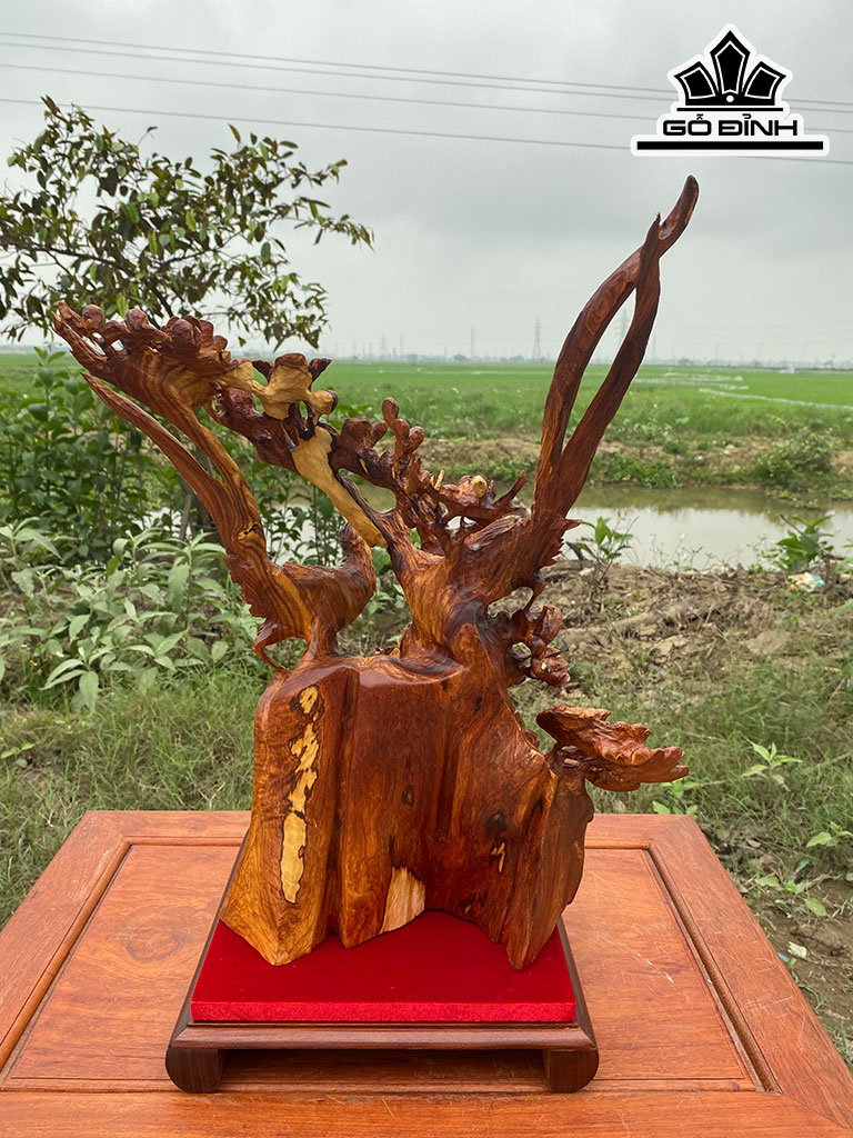 Mai Trĩ Gỗ Cẩm Cao 52 Ngang 38 Sâu 25 (cm)