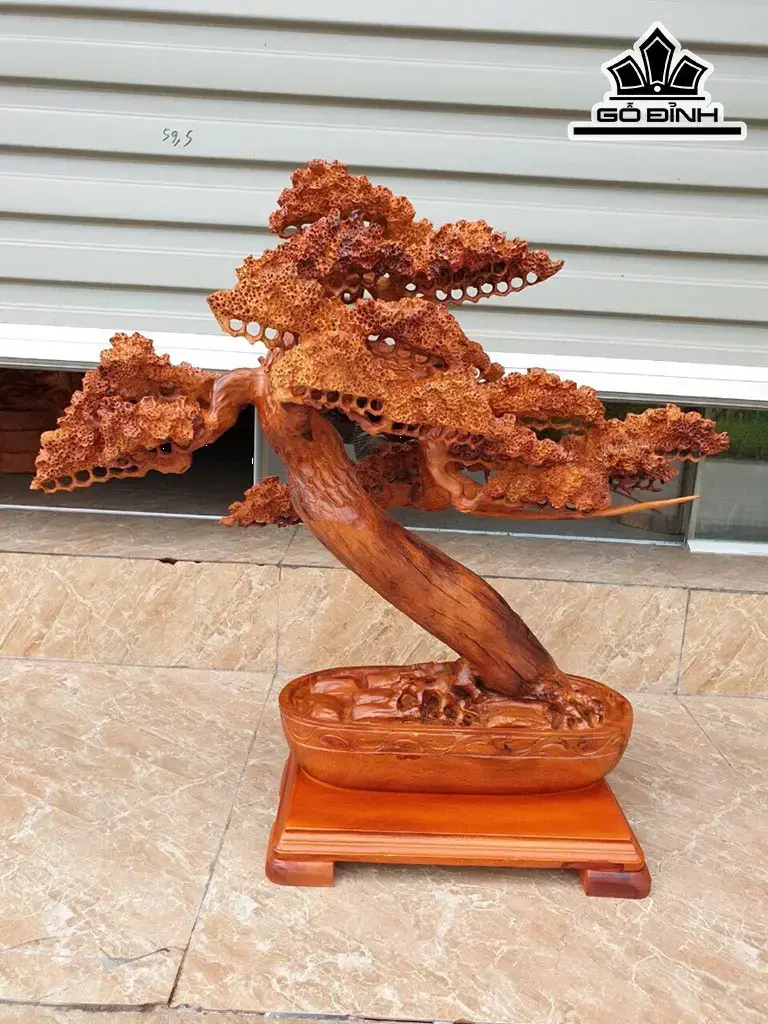 Cây Tùng Bonsai Gỗ Hương Cao 66 Ngang 66 Sâu 30 (cm)