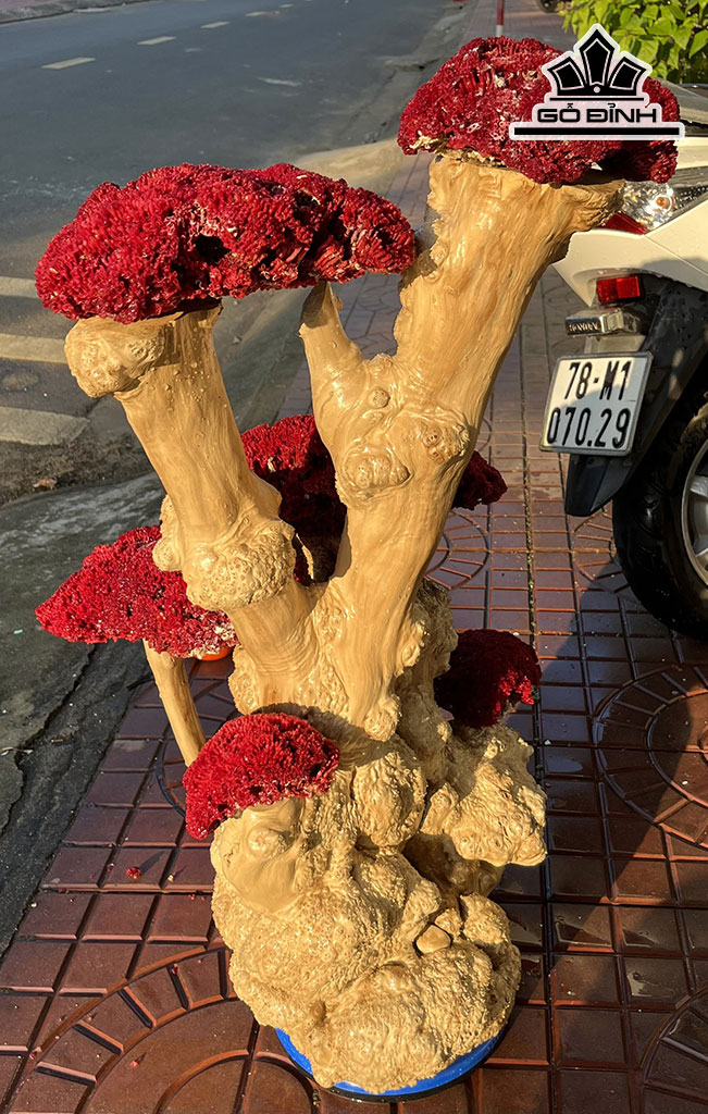 Tác Phẩm Đá San Hô Đỏ Cao 88,5 Ngang 50 (cm)