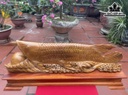 Tượng Cá Kim Long Gỗ Ngọc Am Cao 21 Ngang 76 Sâu 12 (cm)