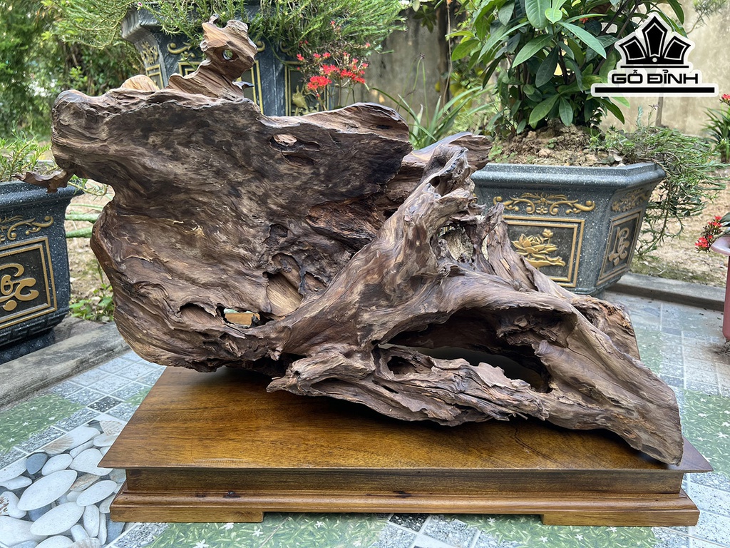 Tượng Đạt Ma Sư Tổ Gỗ Bách Xanh Cao 46 Ngang 76 Sâu 38 (cm)