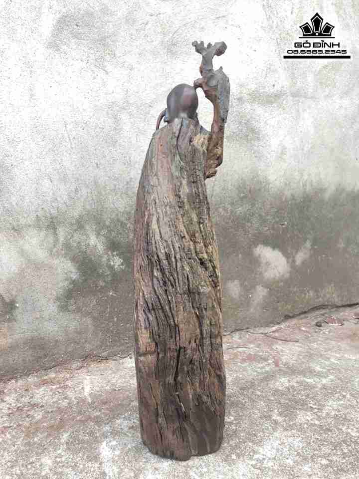 Tuong-Truong-My-go-trac