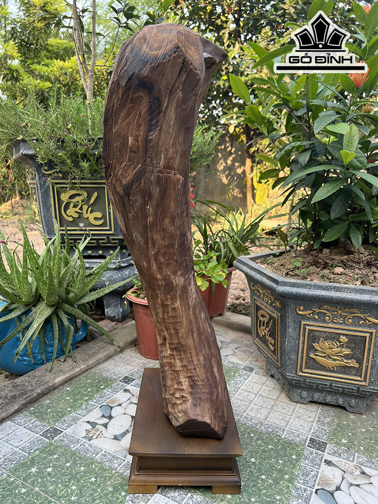 Tượng Thần Tài Gỗ Bách Xanh Cao 71 Ngang 45 Sâu 19 (cm)