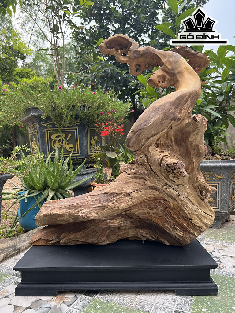 Tượng Thần Trà Gỗ Bách Xanh Cao 67 Ngang 60 Sâu 32 (cm)